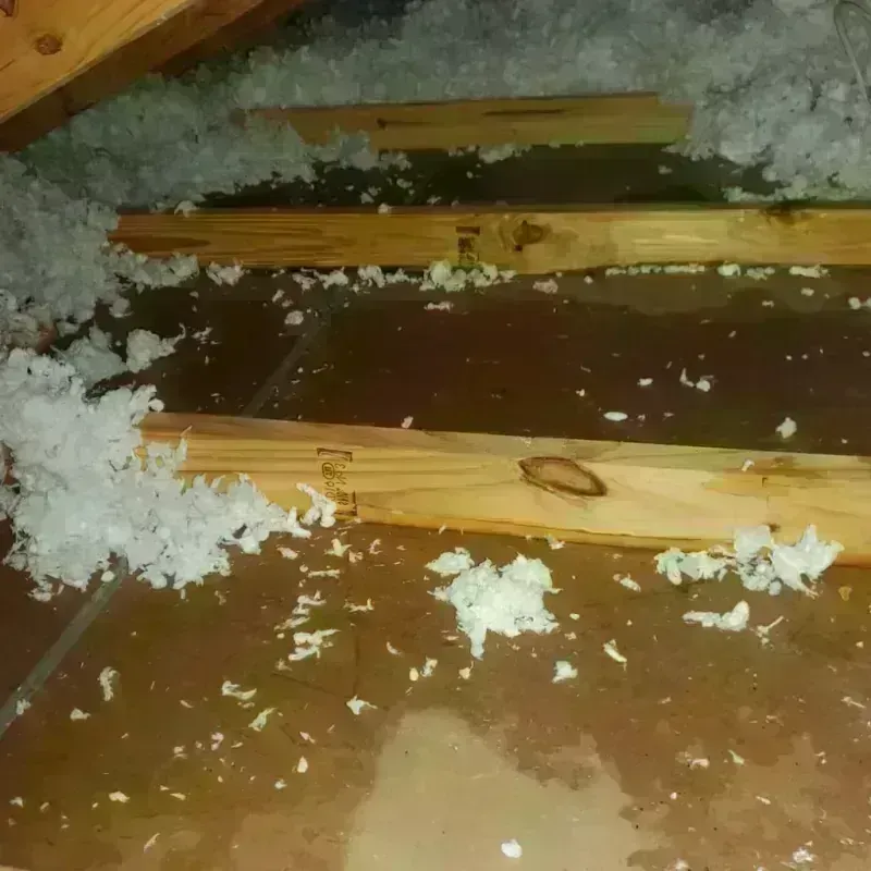 Attic Water Damage in Bozeman, MT