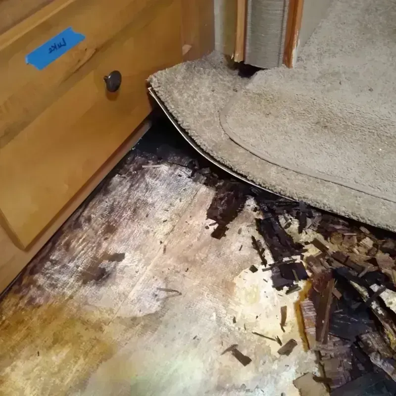 Wood Floor Water Damage in Bozeman, MT